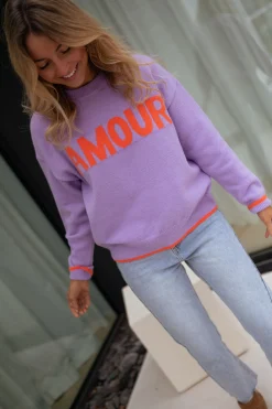 Fashion Pull Amoura - mauveEasy Clothes Femme Pulls & Gilets