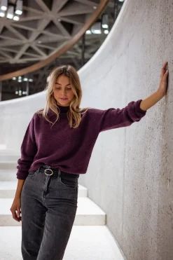 Online Pull Delya - PruneEasy Clothes Femme Pulls & Gilets